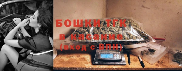 амф Бородино