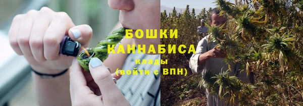 амф Бородино